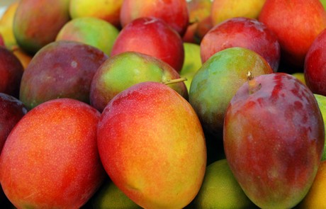 OVERVIEW GLOBAL MANGO MARKET- Sept 2019