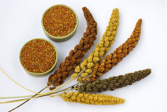 Benefits of Adding Millets to Your Diet