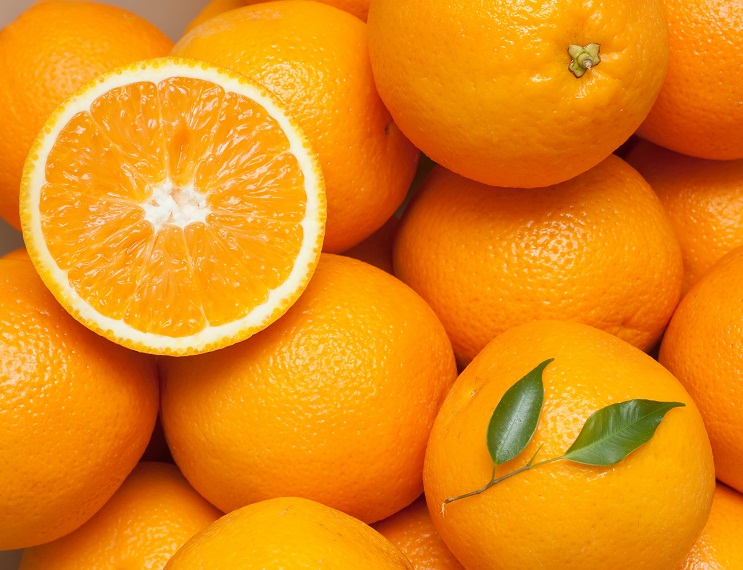 Rigid EU stance on CBS overburdens South African citrus industry