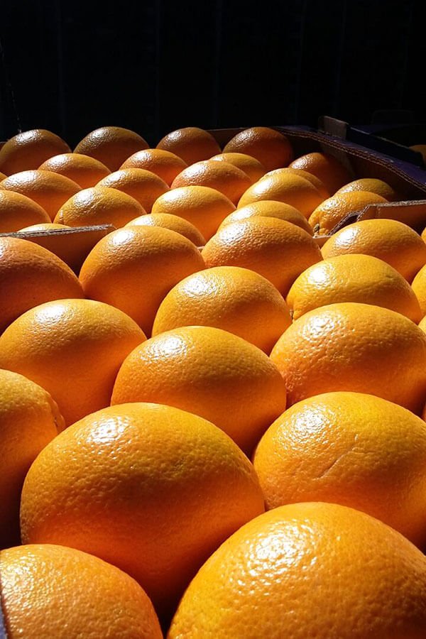 OVERVIEW GLOBAL ORANGE MARKET- Desember 2019