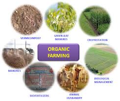 What Is the Future of Organic?