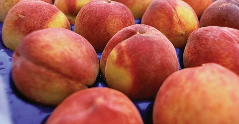 OVERVIEW GLOBAL STONE FRUIT MARKET- May 2020