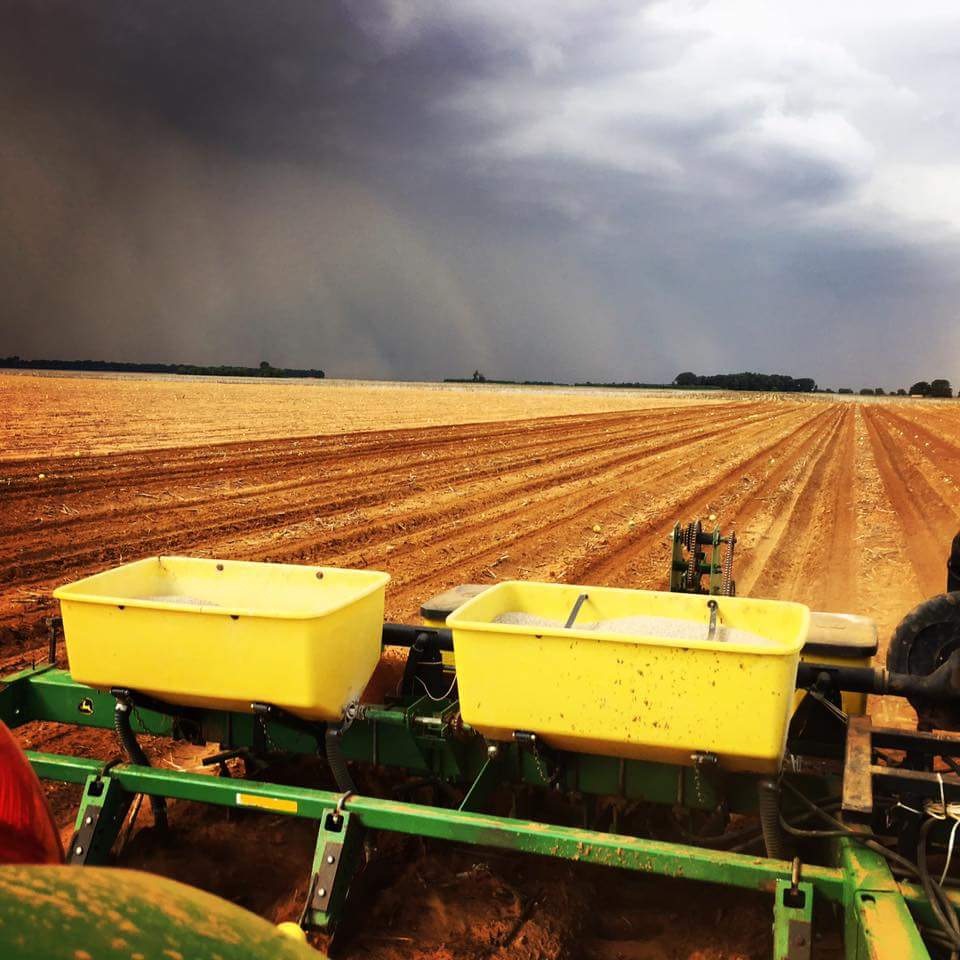Available data reinforce optimism about South Africa’s 2020/21 summer crop production season
