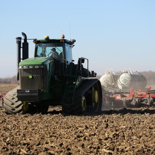 Growing optimism about South Africa maize harvest in 2019/20