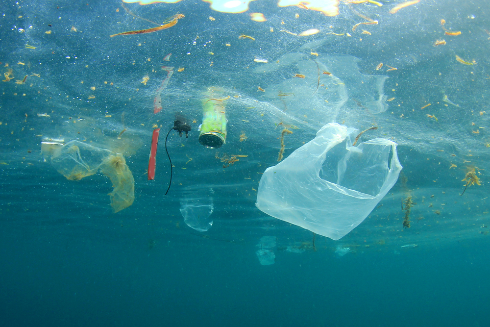 Plastic in the oceans is not the fault of the global south