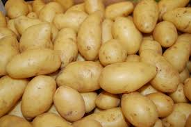 The Creator of GMO Potatoes Reveals The Dangerous Truth- 