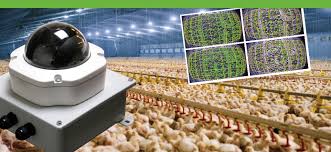 Precision farming and the poultry sector sector