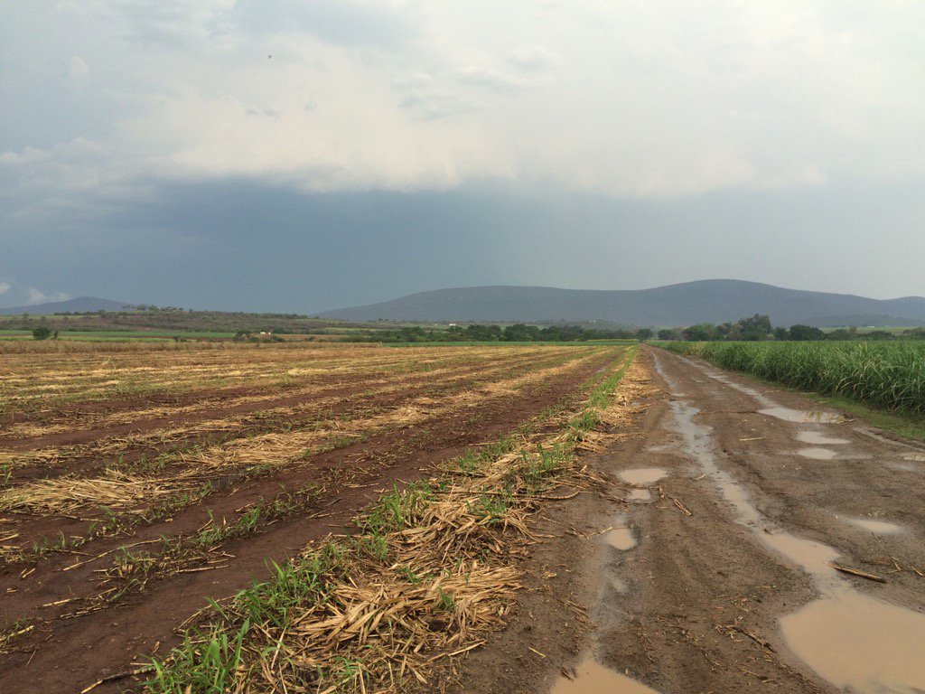 Prospects for drier weather conditions to follow in the latter part of February and early March 2019.