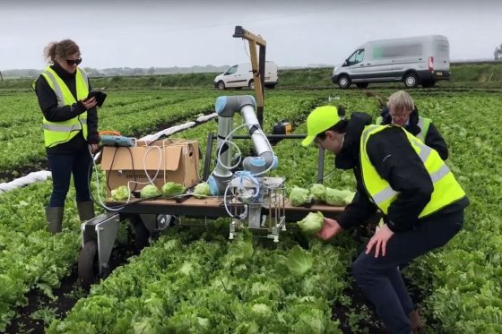 SwarmFarm and Green Atlas develop thinning robot for apple orchards