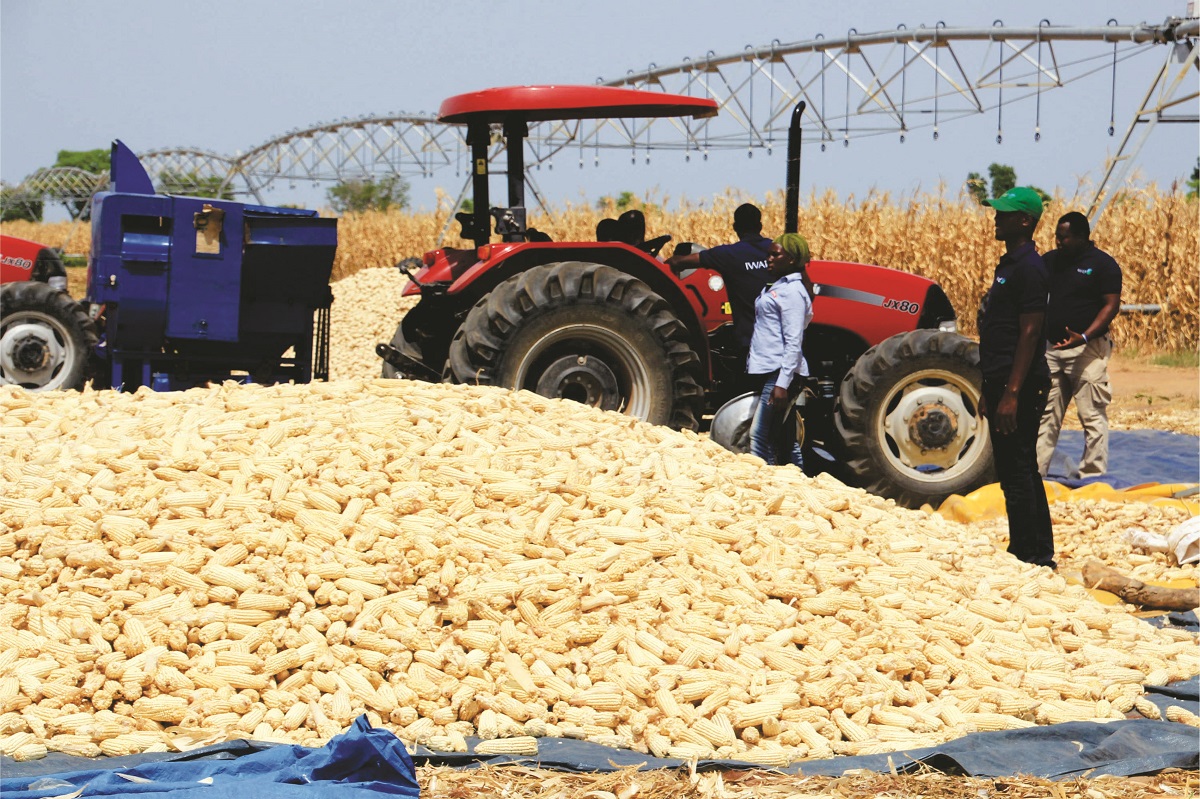 South Africa needs to focus on the plight of its small-scale farmers and find ways to support what is a critical component of the country’s food security and job creation.