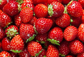 Agricultural plastic: Pollution from strawberry fields 