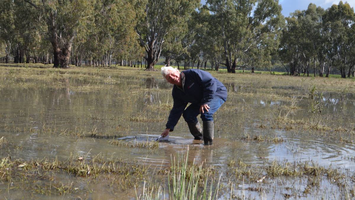 Part of the answer to surviving climate change may be South Africa's wetlands