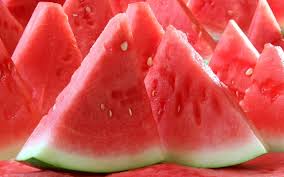 OVERVIEW GLOBAL MELON AND WATERMELON MARKET- June 2019