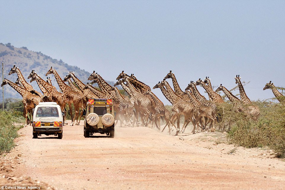 Wildlife tourism in southern Africa uses scarce water - we propose how much is enough