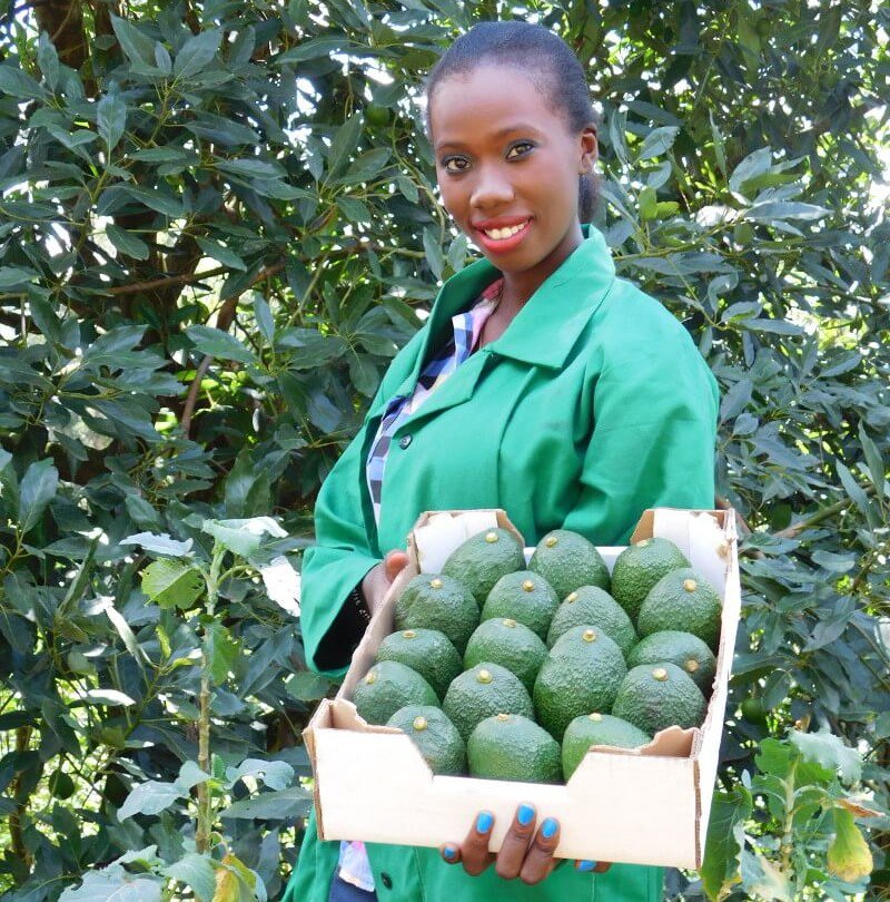 How a focus on youth and women entrepreneurship can benefit agribusiness, livelihoods and create jobs