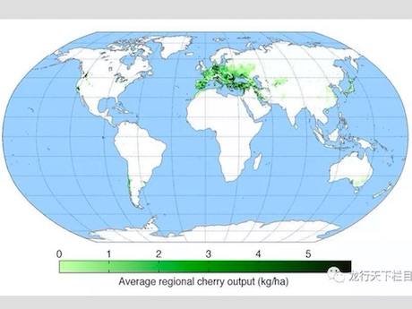 Food Crops From Corn to Rice Are Seen at Risk From Warmer Change