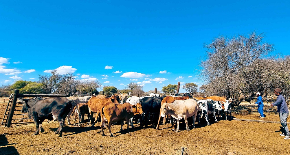 The Power of science to Support small-scale solutions to Soil Erosion