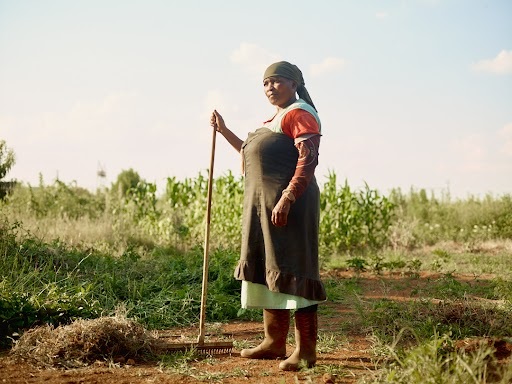 South Africa Has 2.4 Million Small-Scale Farmers, But Only 12% Sell Anything