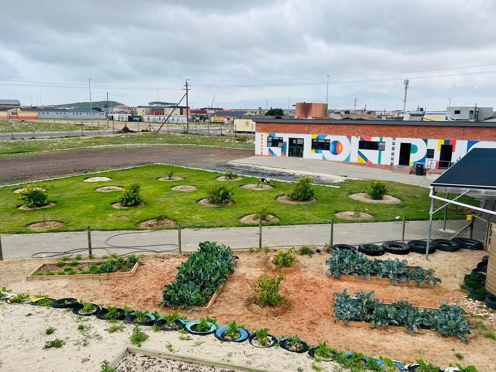 Zylem and Velokhaya Grow a Partnership in Produce to Feed Vulnerable Communities 