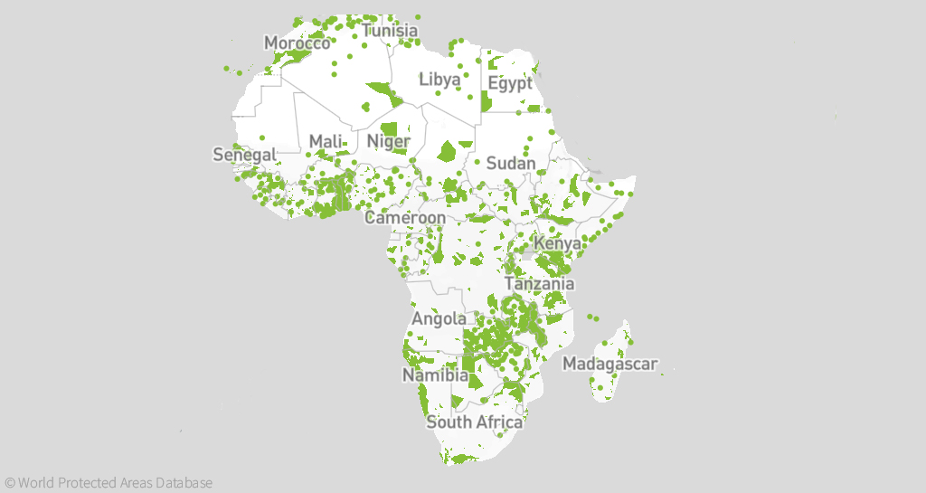 Africa’s agrifood sector holds untapped potential to deliver jobs and livelihoods for the continent’s rapidly growing youth population, new report