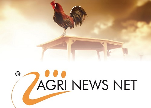 Suid Afrika -Weeklikse Landbou Nuusoorsig -  Weekly Agriculture News Summary   24th May 2023  
