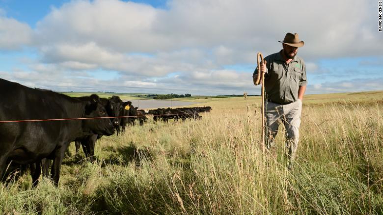 Put down that veggie burger. These farmers say their cows can solve the climate crisis