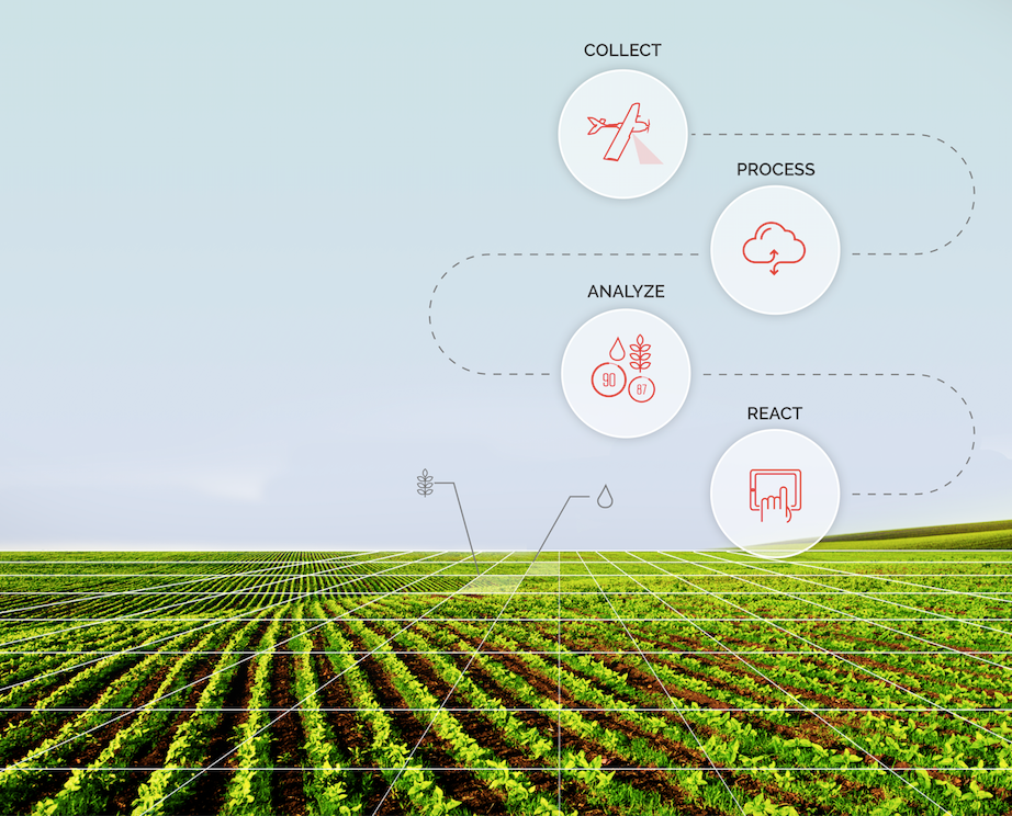 Precision agriculture: data comes before harvest