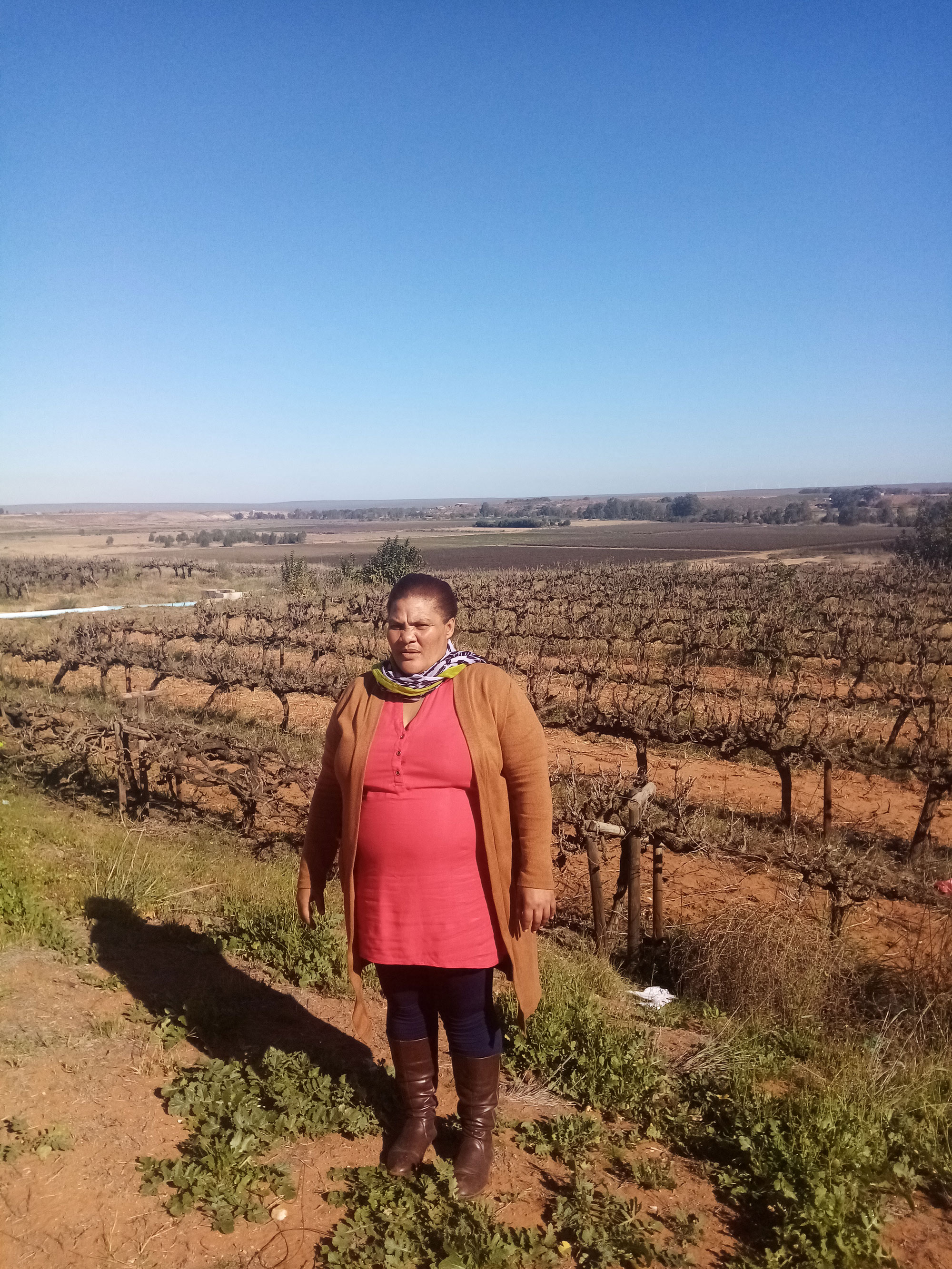 Working towards a partnership driven approach to land reform - Ebenhaeser land reform beneficiaries and Stellar Organic wines join hands 