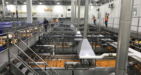 South African ozone sterilisation technology “hasn't been a hard sell”, says chief technology officer