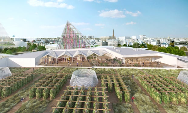 World's largest urban farm to open – on a Paris rooftop