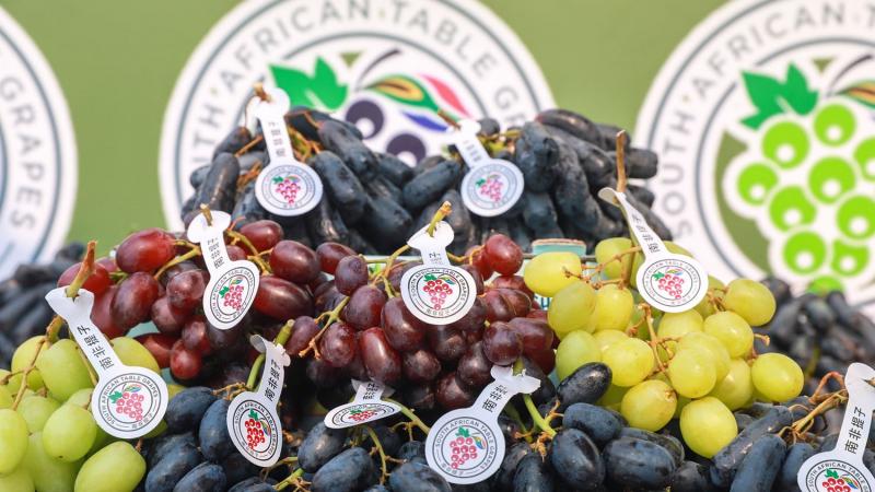 South African Table Grape Consumption Poised for Growth in China