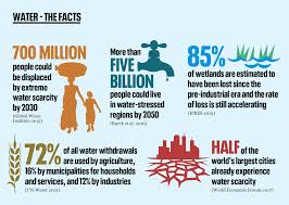 Tiny technology that can find pollution in South Africa’s water and trap it
